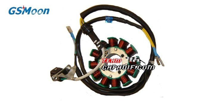 Stator magneto coil 