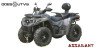 ASSAILANT ODES ATV 800CC 4X4 Genehmigung T3.