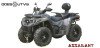 ASSAILANT ODES ATV 800CC 4X4 homologation T3.