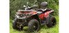 ASSAILANT ODES ATV 800CC 4X4 Genehmigung T3.