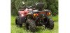 ASSAILANT ODES ATV 800CC 4X4 Genehmigung T3.