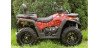 ASSAILANT ODES ATV 800CC 4X4 Genehmigung T3.