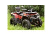 ASSAILANT ODES ATV 800CC 4X4 Genehmigung T3.