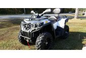 ASSAILANT ODES ATV 800CC 4X4 Genehmigung T3.