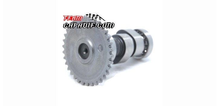 Kinroad 250 cc camshaft