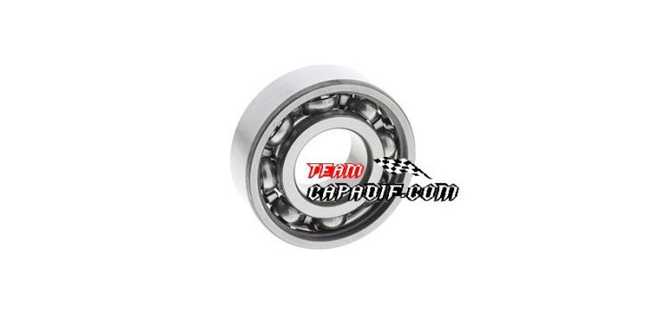 CFMoto 500cc CF188 bearing 6202 for