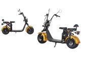 Citycoco Harley Scooter elettrico EEC Scelta