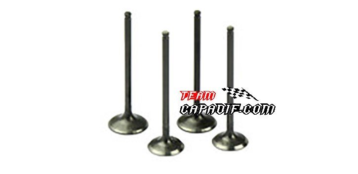 CFMoto CF625 CF196 Inlet/Exhaust Valve